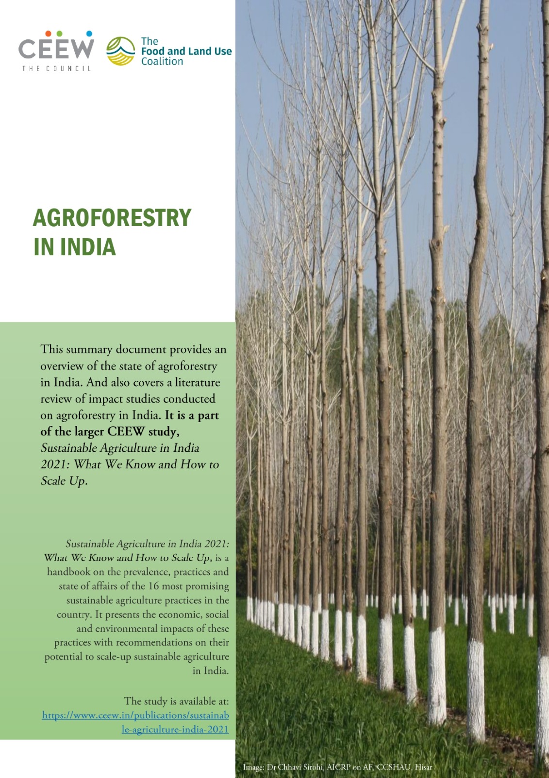 What is Agroforestry Potential in India? CEEW Research